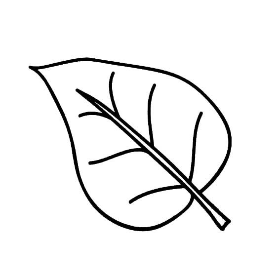 多种树叶简笔画画法-12