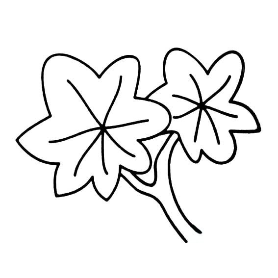 多种树叶简笔画画法-14