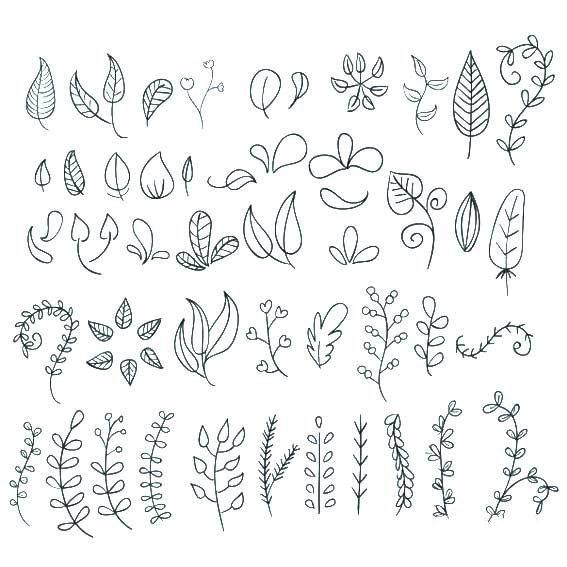各种植物叶子简笔画-1