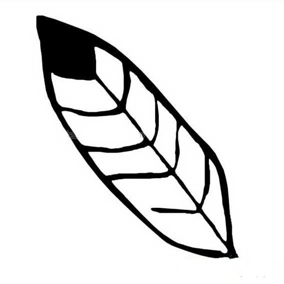简单的树叶简笔画-1