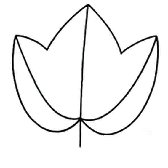 简单的树叶简笔画-2