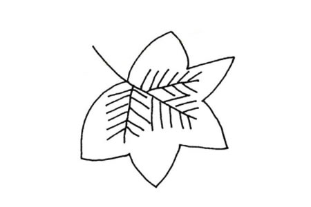 简单的植物简笔画_树叶简笔画图片-1