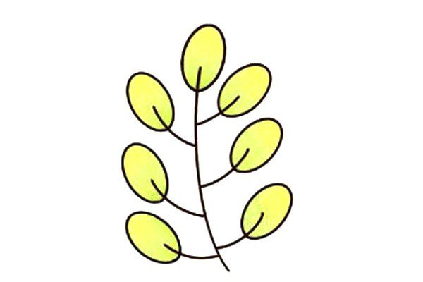 以小树杈为基础_教你画各种漂亮的树叶-4