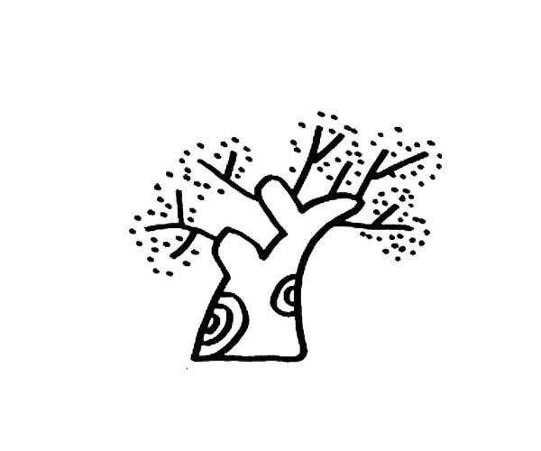 好看又简单的大树简笔画-1