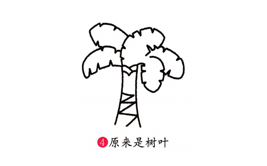 学画芭蕉树-4
