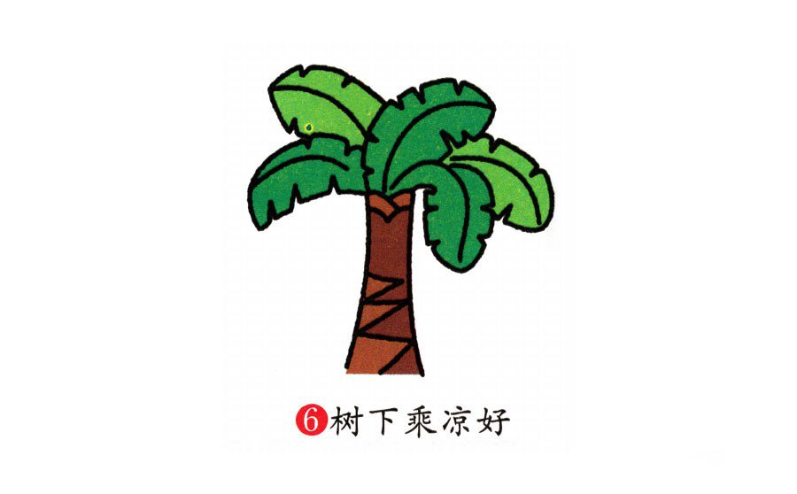 学画芭蕉树-6