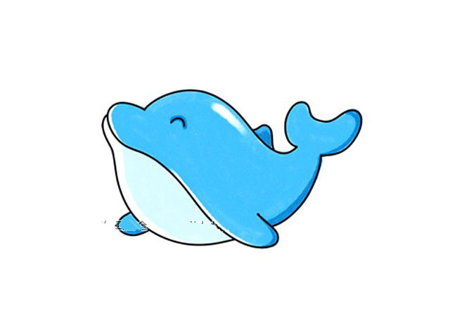 可爱的小海豚-1