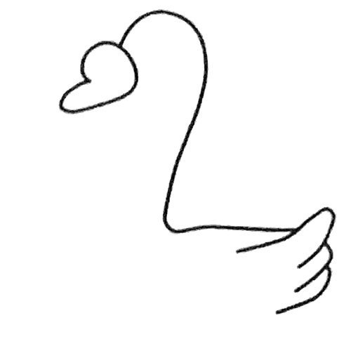 天鹅简笔画步骤-3
