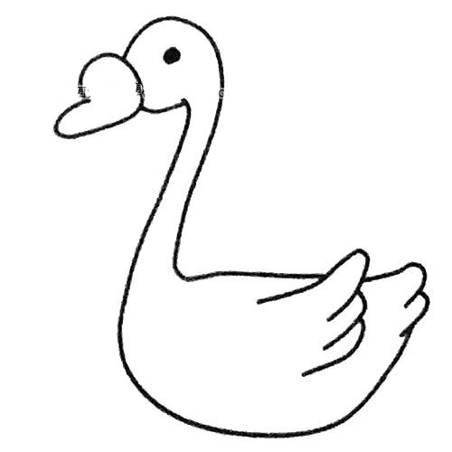 天鹅简笔画步骤-4