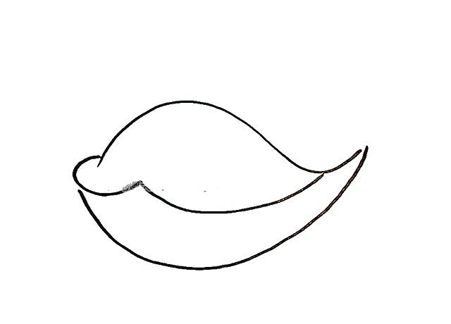 简单的鲸鱼简笔画教程-3