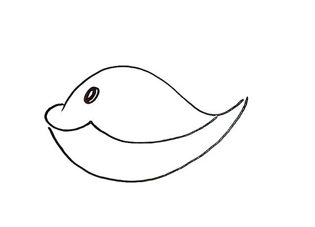 简单的鲸鱼简笔画教程-4