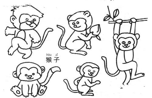调皮的猴子-1