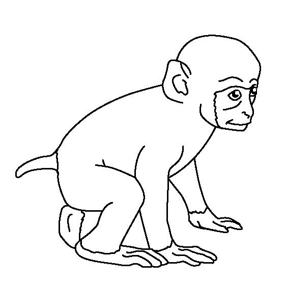 动物简笔画_小猴子简笔画图片-1