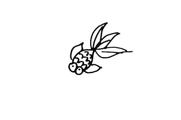 学画金鱼-5