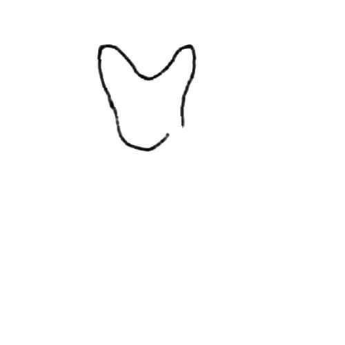 超人气可爱动物_狐狸-1