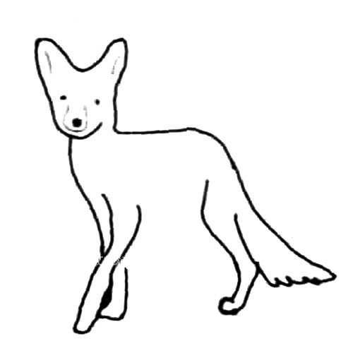 超人气可爱动物_狐狸-3