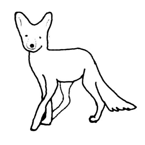 超人气可爱动物_狐狸-4