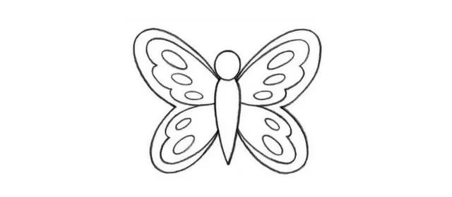 画漂亮的蝴蝶简笔画-3