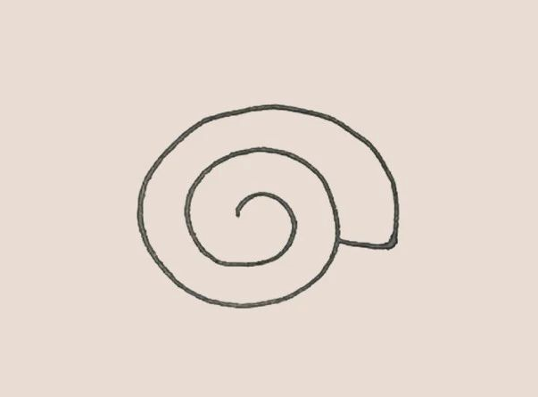 如何画海螺简笔画-2
