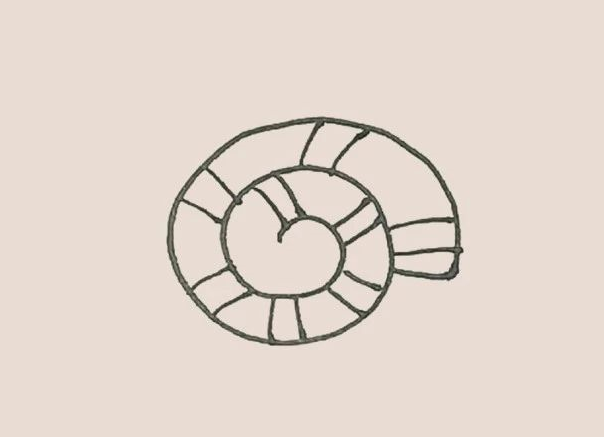 如何画海螺简笔画-3
