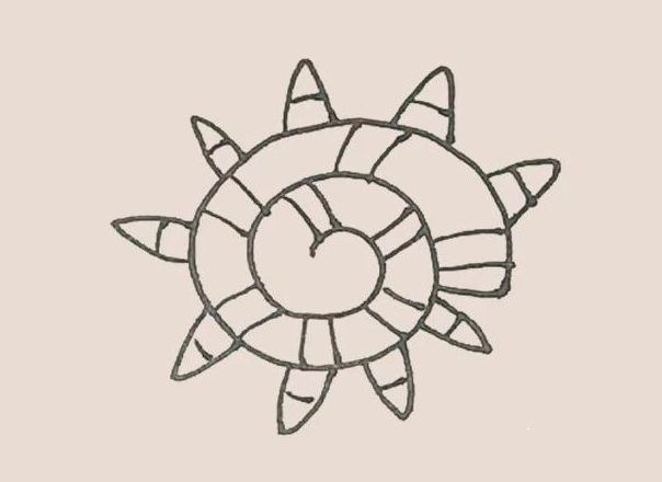 如何画海螺简笔画-5