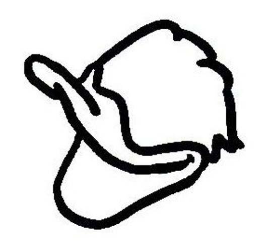 唐老鸭嘴巴简笔画图片-1