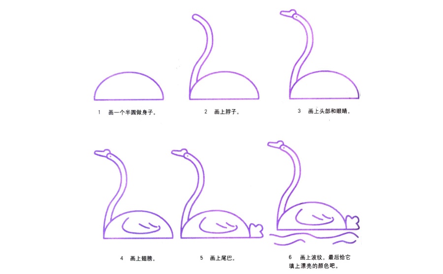 白天鹅简笔画步骤画法-1