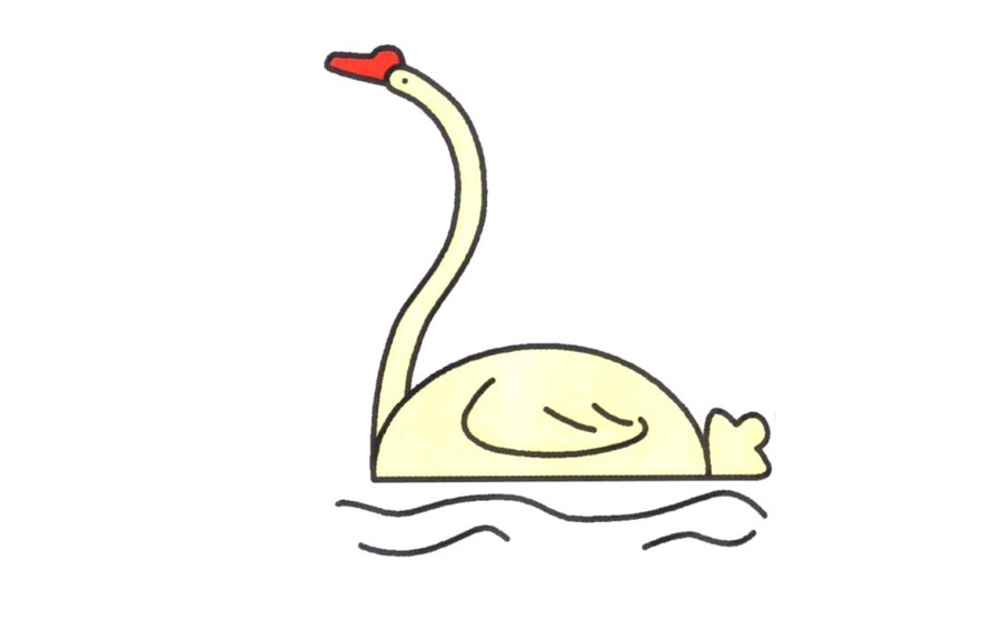 白天鹅简笔画步骤画法-2