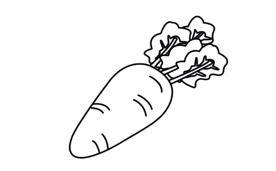 胡萝卜简笔画涂色作品-1
