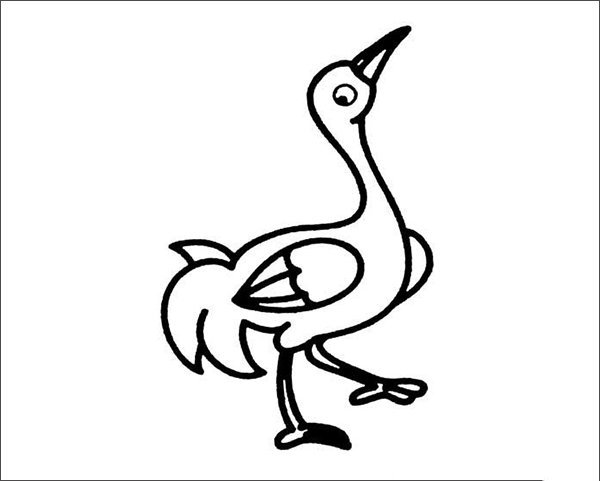丹顶鹤怎么画-1