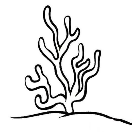 海珊瑚简笔画图片-1