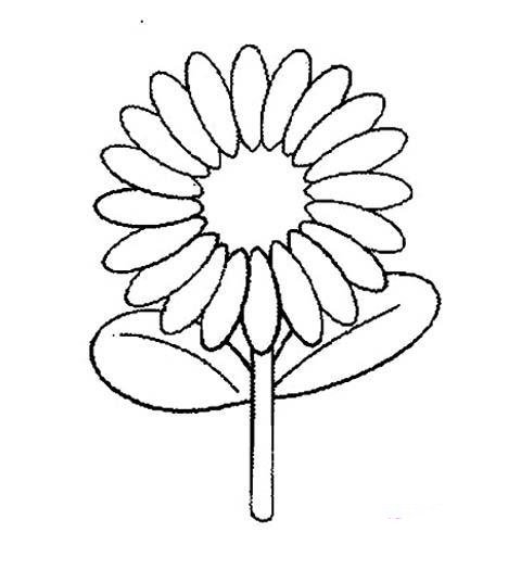 儿童小太阳花简笔画图片大全-1