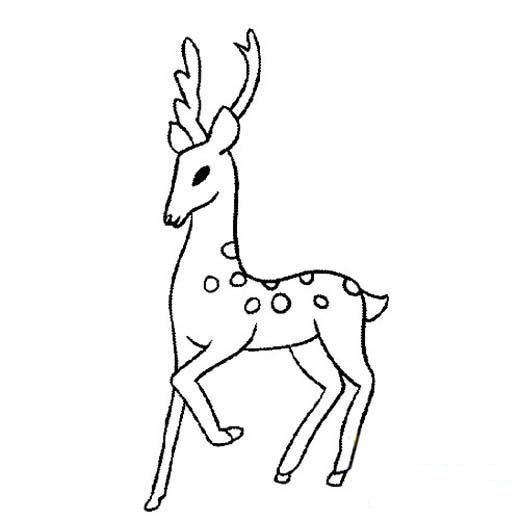 幼儿动物简笔画图片：鹿-1