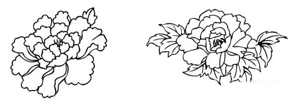 小学生牡丹花简笔画图片-1