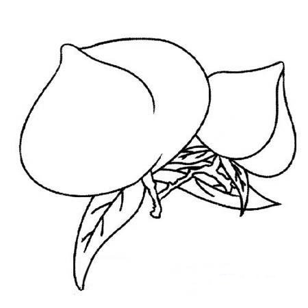 小学生关于桃子的简笔画图片-1