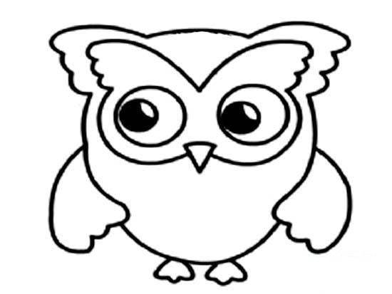 可爱超萌的小猫头鹰简笔画-1