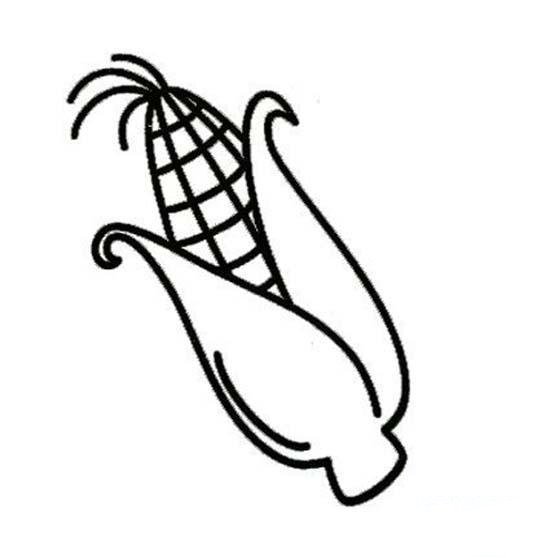 一棵玉米简笔画图片-1