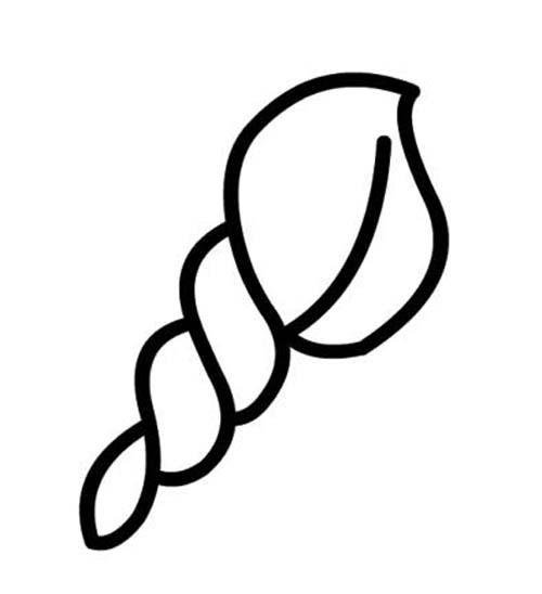 幼儿园简单的海螺简笔画-1