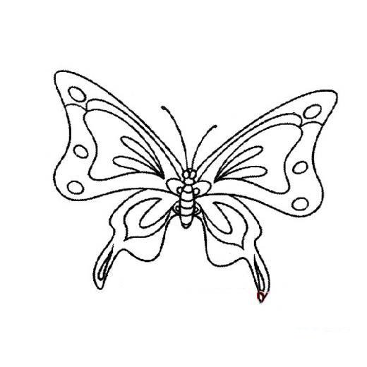 漂亮花纹的蝴蝶简笔画-1