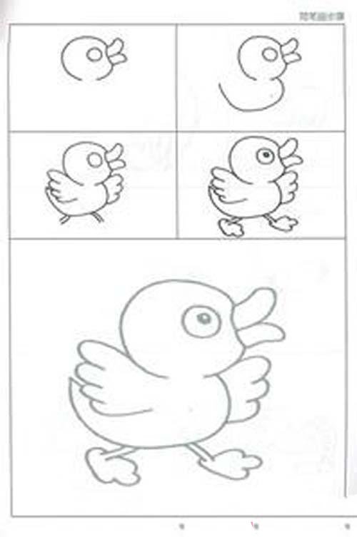 鸭子简笔画画法步骤-1