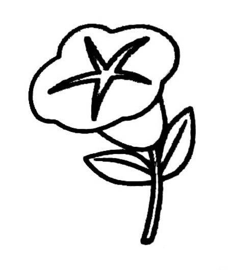 儿童牵牛花简笔画大全-1